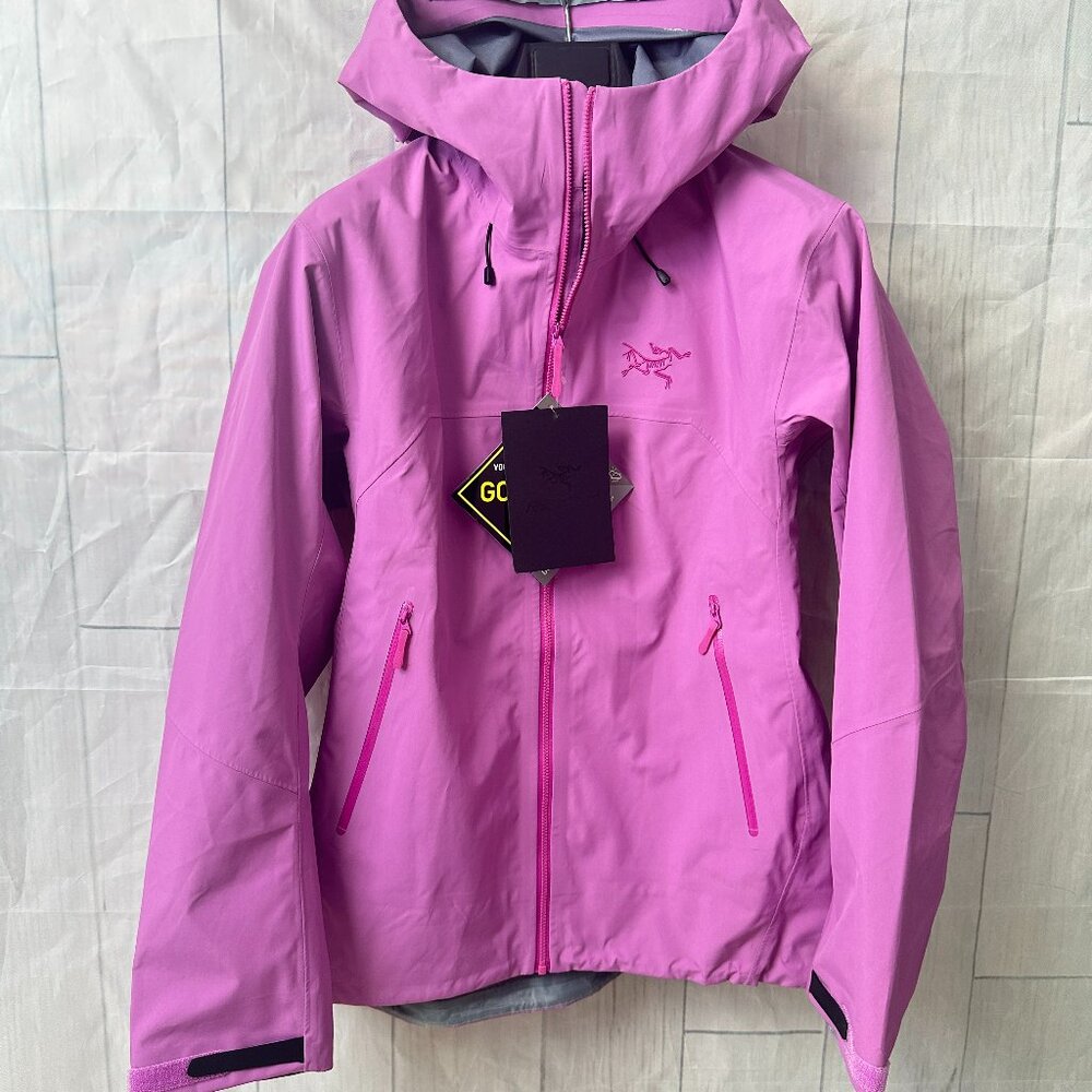 Arc'teryx GORE-TEX Hooded Outdoor Performance Jacket